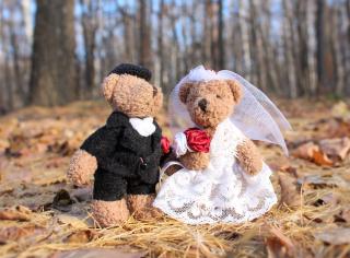wedding_bears.jpg